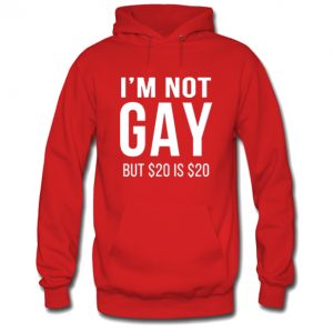 I'm Not Gay But $20 Is $20 Hoodie