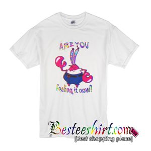 Are You Feeling It Now Mr Krabs T-Shirts