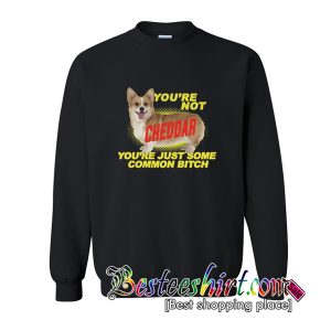 You’re Not Cheddar You’re Just Some Common Bitch Sweatshirt (BSM)
