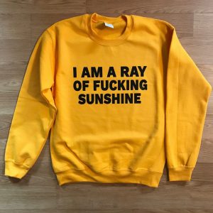 I am a ray of fucking sunshine sweatshirt (BSM)