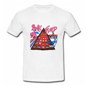 Pink Floyd Momentary Lapse Of Reason T Shirt (BSM)
