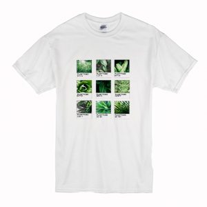 Planttone Plants Leaf T Shirt (BSM)